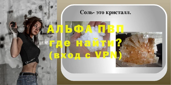 PSILOCYBIN Вязники