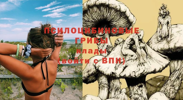 apvp Володарск