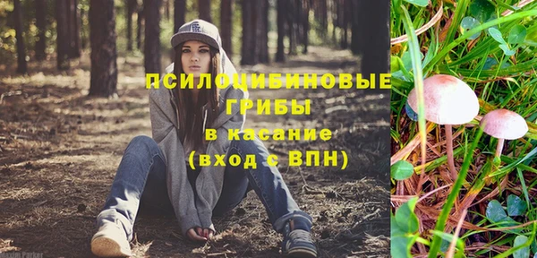 apvp Володарск