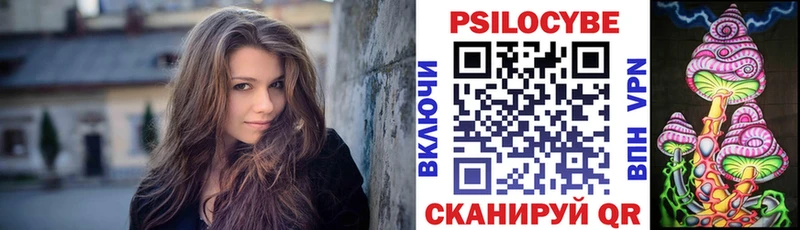 продажа наркотиков  Калач-на-Дону  Псилоцибиновые грибы Psilocybe 